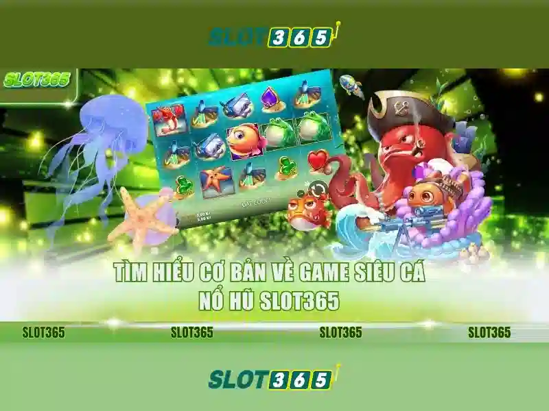 Hỗ trợ trò chơi slot