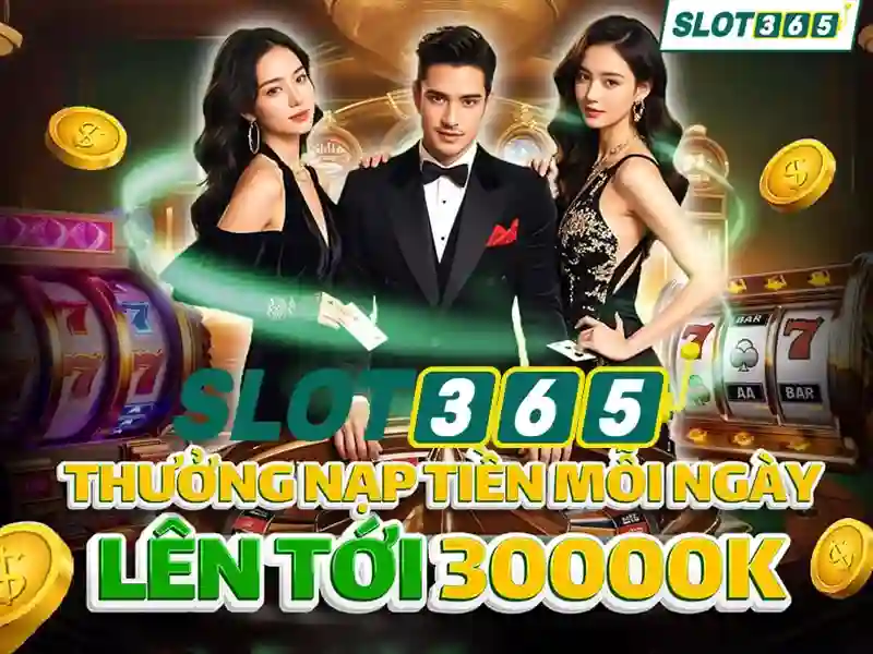 Hỗ trợ kỹ thuật Slot365